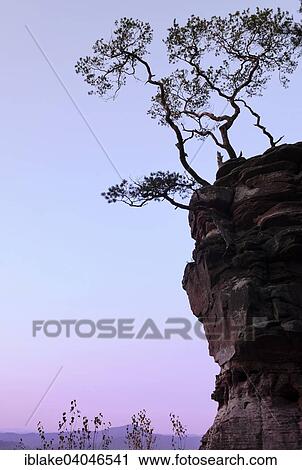 Stock Image - "Silhouette of Lammerfelsen, lambs rock, after sunset, Dahner Felsenland or Dahn Rockland, Dahn, Palatinate Forest, Rhineland-Palatinate, Germany, Europe". Fotosearch