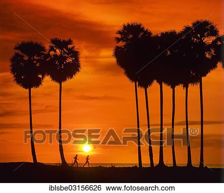 "Silhouettes of two joggers and palm trees at sunset, Karon Beach, Phuket, Phuket Province, Thailand, Asia" View Large Photo Image Stock Photograph - "Silhouettes of two joggers and palm trees at sunset, Karon Beach, Phuket, Phuket Province, Thailand, Asia". Fotosearch