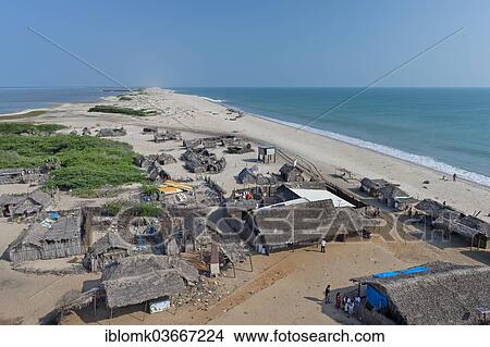 Picture - "Simple huts made of palm fronds, fishing village, Mukundarayar Chathiram, Dhanushkodi, Pamban Island, Tamil Nadu, India, Asia". Fotosearch