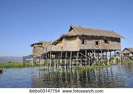 Picture - "Simple traditional straw house on stilts, Inle-See, Shan State, Myanmar, Burma, Asia". Fotosearch