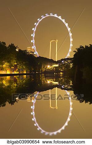 "Singapore Flyer reflecting in the water at night, Singapore, Asia" View Large Photo Image Picture - "Singapore Flyer reflecting in the water at night, Singapore, Asia". Fotosearch