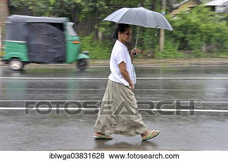 "Singhalese woman walking with an umbrella in heavy rain, Sri Lanka, Asia" View Large Photo Image Stock Photo - "Singhalese woman walking with an umbrella in heavy rain, Sri Lanka, Asia". Fotosearch