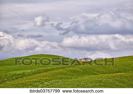"Single house between clouds and hilly fields, Torrenieri, Montalcino, Province of Siena, Tuscany, Italy, Europe" View Large Photo Image Stock Photo - "Single house between clouds and hilly fields, Torrenieri, Montalcino, Province of Siena, Tuscany, Italy, Europe". Fotosearch