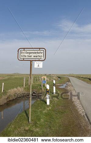 "Single-lane road on the small island of Langeness, North Frisia, Schleswig-Holstein, northern Germany, Germany, Europe" View Large Photo Image Stock Image - "Single-lane road on the small island of Langeness, North Frisia, Schleswig-Holstein, northern Germany, Germany, Europe". Fotosearch