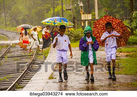 "Sinhala students with umbrellas in heavy rain, monsoon, train station, Kalawewa, Sri Lanka, Ceylon, Asia" View Large Photo Image Picture - "Sinhala students with umbrellas in heavy rain, monsoon, train station, Kalawewa, Sri Lanka, Ceylon, Asia". Fotosearch