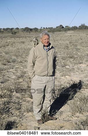 "Sir David Attenborough with meerkat on shoulder for BBC series The Life of Mammals, Kalahari Desert, Northern Cape, South Africa, Africa" View Large Photo Image Stock Image - "Sir David Attenborough with meerkat on shoulder for BBC series The Life of Mammals, Kalahari Desert, Northern Cape, South Africa, Africa". Fotosearch