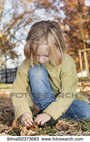 Six-year-old girl collecting acorns in an autumn park View Large Photo Image Stock Image - Six-year-old girl collecting acorns in an autumn park. Fotosearch