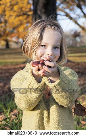 Six-year-old girl offering chestnuts View Large Photo Image Stock Photo - Six-year-old girl offering chestnuts. Fotosearch