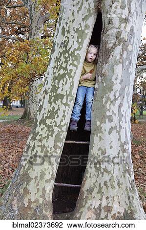 Six-year-old girl sitting in a hollow tree View Large Photo Image Stock Image - Six-year-old girl sitting in a hollow tree. Fotosearch