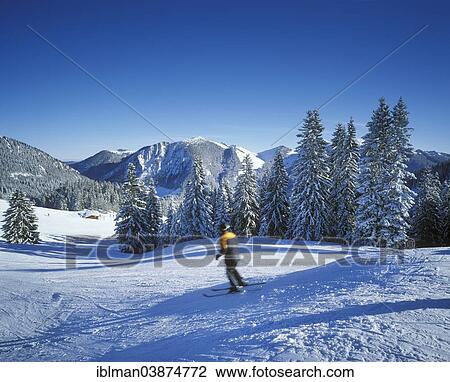 "Ski slope at Mt Stumpfling, Mt Jagerkamp at the back, ​​Spitzingsee Lake area, Mangfall Mountains, Upper Bavaria, Bavaria, Germany, Europe" View Large Photo Image Stock Image - "Ski slope at Mt Stumpfling, Mt Jagerkamp at the back, ​​Spitzingsee Lake area, Mangfall Mountains, Upper Bavaria, Bavaria, Germany, Europe". Fotosearch