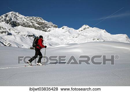 "Ski tourer in the high valley above Lech am Arlberg, Mt Mohnenfluh at the back, Vorarlberg, Austria, Europe" View Large Photo Image Stock Photo - "Ski tourer in the high valley above Lech am Arlberg, Mt Mohnenfluh at the back, Vorarlberg, Austria, Europe". Fotosearch