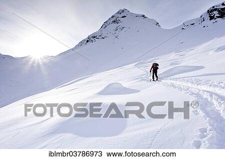 "Ski tourer on the ascent to Mt Ellesspitze in Pflerschtal Valley, Wipptal Valley, South Tyrol, Trentino-Alto Adige, Italy, Europe" View Large Photo Image Stock Image - "Ski tourer on the ascent to Mt Ellesspitze in Pflerschtal Valley, Wipptal Valley, South Tyrol, Trentino-Alto Adige, Italy, Europe". Fotosearch
