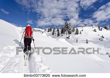 "Ski walkers ascending the Cima Juribrutto, Dolomites, Trentino, Italy, Europe" View Large Photo Image Stock Image - "Ski walkers ascending the Cima Juribrutto, Dolomites, Trentino, Italy, Europe". Fotosearch