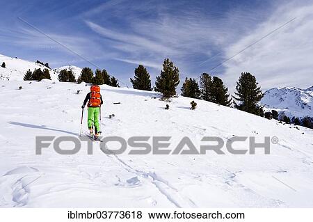 Stock Photo - "Ski walkers on the Peder-Stieralm mountain pasture, South Tyrol, Italy, Europe". Fotosearch