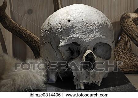 "Skull, Albrecht Duerer House, historic center, Nuremberg, Middle Franconia, Bavaria, Germany, Europe" View Large Photo Image Stock Image - "Skull, Albrecht Duerer House, historic center, Nuremberg, Middle Franconia, Bavaria, Germany, Europe". Fotosearch