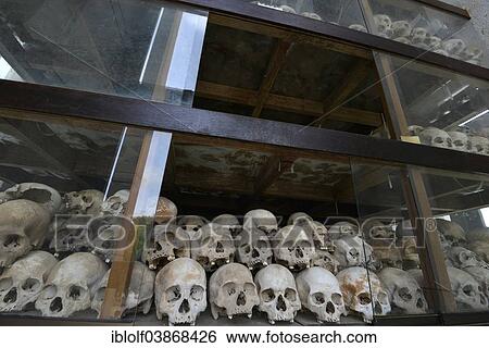Stock Photograph - "Skulls and bones in the Memorial Stupa to the prisoners murdered by the Communist or Maoist Khmer Rouge in Choeung Ek, Killing Fields, Phnom Penh, Cambodia, Asia". Fotosearch