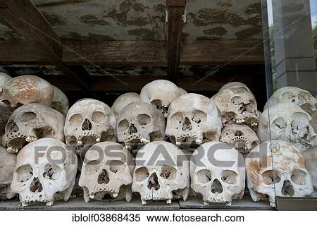"Skulls and bones in the Memorial Stupa to the prisoners murdered by the Communist or Maoist Khmer Rouge in Choeung Ek, Killing Fields, Phnom Penh, Cambodia, Asia" View Large Photo Image Stock Photography - "Skulls and bones in the Memorial Stupa to the prisoners murdered by the Communist or Maoist Khmer Rouge in Choeung Ek, Killing Fields, Phnom Penh, Cambodia, Asia". Fotosearch