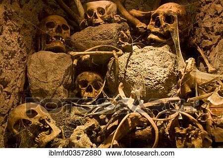 "Skulls and bones in the Mummies' Museum, Guanajuato, Mexico, North America" View Large Photo Image Stock Image - "Skulls and bones in the Mummies' Museum, Guanajuato, Mexico, North America". Fotosearch