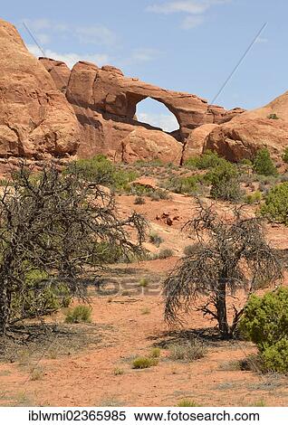 Stock Photography - "Skyline Arch rock formation, Devil's Garden Section, Windows Section, Arches National Park, Moab, Utah, United States of America, USA". Fotosearch