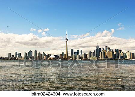 Skyline of Toronto seen from Centre Island, CN Tower, Lake Ontario, Toronto, province of Ontario, Canada, North America View Large Photo Image Picture - Skyline of Toronto seen from Centre Island, CN Tower, Lake Ontario, Toronto, province of Ontario, Canada, North America. Fotosearch