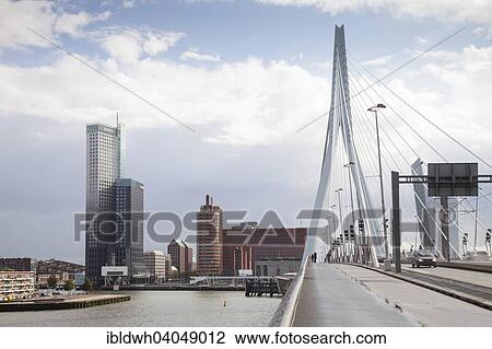 "Skyline with Erasmus Bridge, Erasmusbrug, across the Nieuwe Maas river, Rotterdam, Holland, The Netherlands, Europe" View Large Photo Image Stock Image - "Skyline with Erasmus Bridge, Erasmusbrug, across the Nieuwe Maas river, Rotterdam, Holland, The Netherlands, Europe". Fotosearch