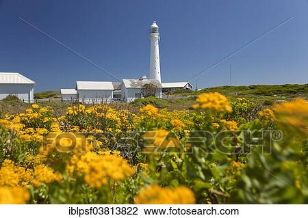 "Slangkop Lighthouse, near Kommetjie, Cape Town, Western Cape, South Africa, Africa" View Large Photo Image Stock Image - "Slangkop Lighthouse, near Kommetjie, Cape Town, Western Cape, South Africa, Africa". Fotosearch