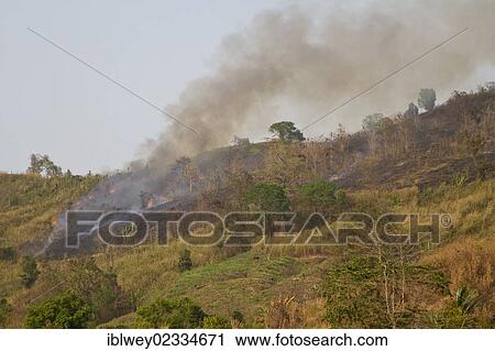 "Slash-and-burn agriculture, smoke drifting over a hill, Boga Lake, Chittagong Hill Tracts, Ruma Bazar, Bangladesh, South Asia, Asia" View Large Photo Image Stock Image - "Slash-and-burn agriculture, smoke drifting over a hill, Boga Lake, Chittagong Hill Tracts, Ruma Bazar, Bangladesh, South Asia, Asia". Fotosearch