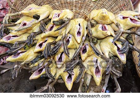 Stock Image - "Slaughtered ducks at a market, Siem Reap, Siem Reap, Siem Reap Province, Cambodia, Asia". Fotosearch