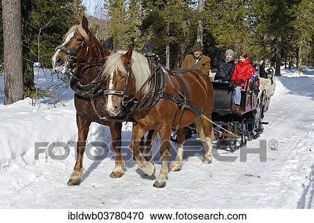 "Sleigh ride from Rottach to the Weissachalm in Weissachtal Valley, Tegernseer Land Region, Upper Bavaria, Bavaria, Germany, Europe" View Large Photo Image Stock Image - "Sleigh ride from Rottach to the Weissachalm in Weissachtal Valley, Tegernseer Land Region, Upper Bavaria, Bavaria, Germany, Europe". Fotosearch