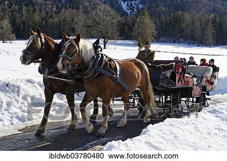"Sleigh ride from Rottach to the Weissachalm in Weissachtal Valley, Tegernseer Land Region, Upper Bavaria, Bavaria, Germany, Europe" View Large Photo Image Stock Image - "Sleigh ride from Rottach to the Weissachalm in Weissachtal Valley, Tegernseer Land Region, Upper Bavaria, Bavaria, Germany, Europe". Fotosearch