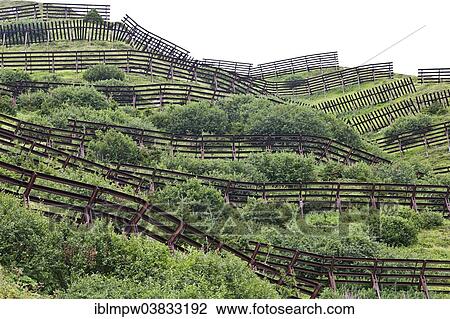 "Slope with avalanche barriers above Disentis, Graubunden, Switzerland, Europe" View Large Photo Image Stock Image - "Slope with avalanche barriers above Disentis, Graubunden, Switzerland, Europe". Fotosearch