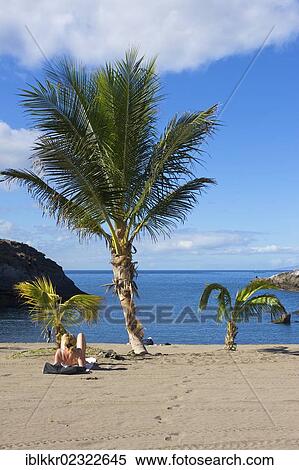"Small beach with palm trees, Playa Paraiso, Costa Adeje, Tenerife, Canary Islands, Spain, Europe" View Large Photo Image Stock Photography - "Small beach with palm trees, Playa Paraiso, Costa Adeje, Tenerife, Canary Islands, Spain, Europe". Fotosearch