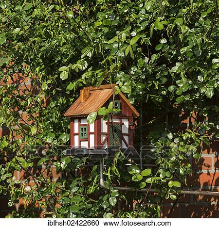 Small bird house on a rose trellis, Ditzum, Rheiderland, Lower Saxony, Germany, Europe, PublicGround, Europe View Large Photo Image Stock Image - Small bird house on a rose trellis, Ditzum, Rheiderland, Lower Saxony, Germany, Europe, PublicGround, Europe. Fotosearch