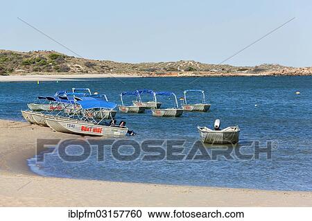 "Small boats for hire, Kalbarri, Western Australia, Australia, Oceania" View Large Photo Image Stock Image - "Small boats for hire, Kalbarri, Western Australia, Australia, Oceania". Fotosearch