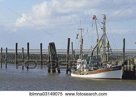 "Small cutter in the harbour, Schluttsiel, North Frisia, Schleswig-Holstein, Germany, Europe" View Large Photo Image Stock Photography - "Small cutter in the harbour, Schluttsiel, North Frisia, Schleswig-Holstein, Germany, Europe". Fotosearch