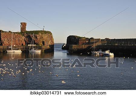 "Small fishing port, surrounded by natural rock, Dunbar, Scotland, United Kingdom, Europe" View Large Photo Image Stock Image - "Small fishing port, surrounded by natural rock, Dunbar, Scotland, United Kingdom, Europe". Fotosearch