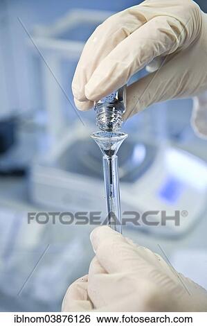 "Small funnel being filled, in a laboratory, Germany, Europe" View Large Photo Image Stock Photograph - "Small funnel being filled, in a laboratory, Germany, Europe". Fotosearch