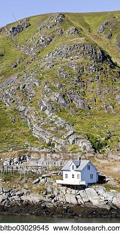 "Small norwegian wooden house beside the fjord and in front of a mountain, Ballstadt, Lofoten, Nordland, Norway, Europe" View Large Photo Image Stock Photography - "Small norwegian wooden house beside the fjord and in front of a mountain, Ballstadt, Lofoten, Nordland, Norway, Europe". Fotosearch