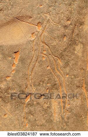 "Small rock engraving of a gazelle, neolithic rock art, Tadrart region, Tassili n'Ajjer National Park, Unesco World Heritage Site, Algeria, Sahara, North Africa, Africa" View Large Photo Image Stock Photo - "Small rock engraving of a gazelle, neolithic rock art, Tadrart region, Tassili n'Ajjer National Park, Unesco World Heritage Site, Algeria, Sahara, North Africa, Africa". Fotosearch