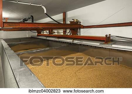 "Small soak basin for the malting barley in a malthouse, Bavaria, Germany, Europe" View Large Photo Image Stock Image - "Small soak basin for the malting barley in a malthouse, Bavaria, Germany, Europe". Fotosearch