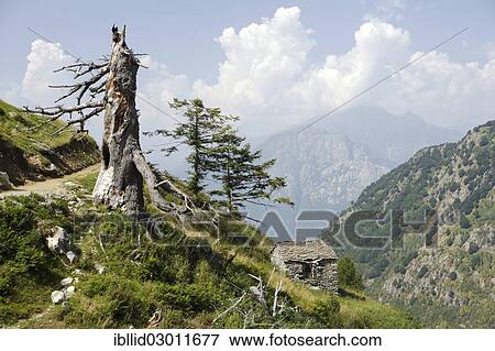"Small stone hut in the mountains, Diga di Moledana, Valle dei Ratti, Val dei Ratti, Lombardy, Italy, Europe" View Large Photo Image Stock Photo - "Small stone hut in the mountains, Diga di Moledana, Valle dei Ratti, Val dei Ratti, Lombardy, Italy, Europe". Fotosearch
