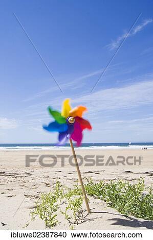 "Small toy windmill in front of the Breton coastal landscape, Camaret-sur-Mer, Brittany, France, Europe" View Large Photo Image Stock Image - "Small toy windmill in front of the Breton coastal landscape, Camaret-sur-Mer, Brittany, France, Europe". Fotosearch