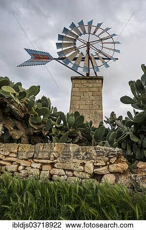 "Small traditional windmill, Sant Jordi, Palma de Mallorca, Majorca, Balearic Islands, Spain, Europe" View Large Photo Image Stock Image - "Small traditional windmill, Sant Jordi, Palma de Mallorca, Majorca, Balearic Islands, Spain, Europe". Fotosearch
