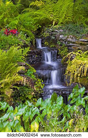 "Small waterfall in garden, Sutton, Eastern Townships, Quebec, Canada, North America" View Large Photo Image Picture - "Small waterfall in garden, Sutton, Eastern Townships, Quebec, Canada, North America". Fotosearch