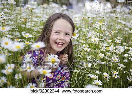 Picture - "Smiling little girl, three years, sitting in a flower meadow with many daisies, Rosenheim, Bavaria, Germany, Europe". Fotosearch