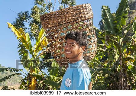 Stock Photo - "Smiling man from the Lahu people, hill tribe, ethnic minority, carrying a basket on his shoulder, field work, Mae Hong Song Province, Northern Thailand, Thailand, Asia". Fotosearch