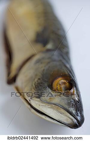Smoked mackerel View Large Photo Image Stock Image - Smoked mackerel. Fotosearch