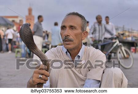 "Snake charmer at Djemaa el Fna market square, historic center, Marrakesh, Marrakesh-Tensift-El Haouz region, Morocco, Africa" View Large Photo Image Stock Image - "Snake charmer at Djemaa el Fna market square, historic center, Marrakesh, Marrakesh-Tensift-El Haouz region, Morocco, Africa". Fotosearch