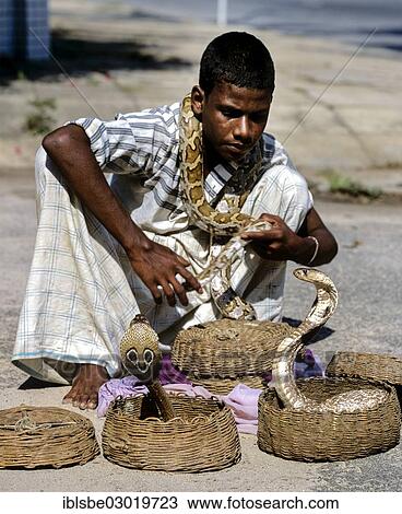 Stock Image - "Snake charmer, boy with cobras, Colombo, Westprovinz, Sri Lanka, Asia". Fotosearch
