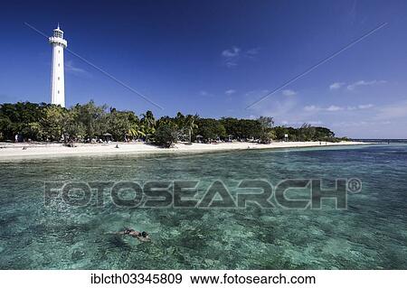 "Snorkeler off Amedee Island, lighthouse of Ilot Amedee or Le Phare Amedee at the rear, Amedee Island, New Caledonia, France, Oceania" View Large Photo Image Stock Photo - "Snorkeler off Amedee Island, lighthouse of Ilot Amedee or Le Phare Amedee at the rear, Amedee Island, New Caledonia, France, Oceania". Fotosearch